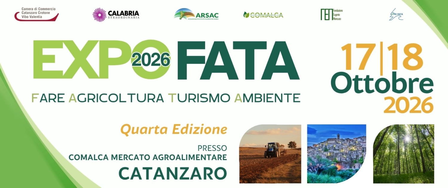 header_home_expofata